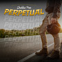 Perpetual