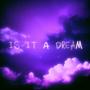 is it a dream (feat. stxlen) [Explicit]