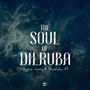 The Soul of Dilruba