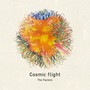 Cosmic Flight