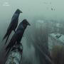 Dark dreams