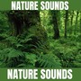 Nature Sounds