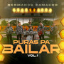 Puras Pa Bailar, Vol. 1 (Cover)