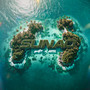 SUNAO