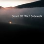 Smell of Wet Sidewalk