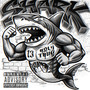 shark (Explicit)