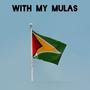 Guyana (feat. Jimmytunes) [Radio Edit]