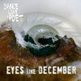 Eyes Like December