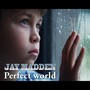 Perfect World (Explicit)