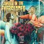 Angels In The Everglades (Explicit)