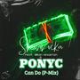 Can Do (P-Mix) (feat. Sean Kingston & Ponyc)