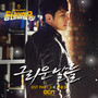 동네의 영웅 OST Part.2 (Local Hero OST Part.2)