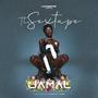 The SexTape E.P (Vinyl Edition) [Explicit]