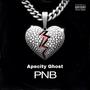 PNB (Explicit)