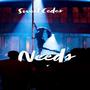 Needs (Explicit)