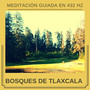 Bosques de Tlaxcala