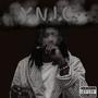 Y.N.I.C. (Explicit)