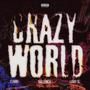 Crazy World (Explicit)