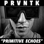 Primitive Echoes