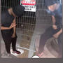 Lame (Explicit)