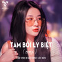 Tam Bôi Ly Biệt (Remix)