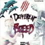 Different Breed (Explicit)