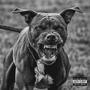 Bully (Explicit)