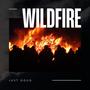 Wildfire