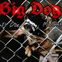 Big Dog (Explicit)