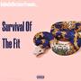 Survival Of The Fit (feat. Rome Streetz, Jadakiss, Navy Blue & 9th Wonder) [Remix] [Explicit]