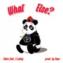 What Else? (feat. J.Lately) - Single [Explicit]