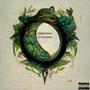 Ouroboros (Explicit)