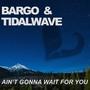 Ain't Gonna Wait For You (feat. Tidalwave) [Radio Edit]