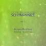 SCHUMANNIZE vol.1 - Across Realities