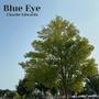 Blue Eye (Single)