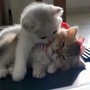 Un beso más