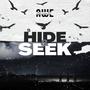 Hide and Seek (Explicit)
