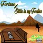 Fortune / Sittin in my Feelin's (Explicit)