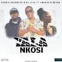 Yala Nkosi (feat. Anande)