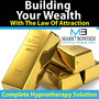 Building Wealth With The Law Of Attractio