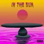 IN THE SUN (feat. 908zay) [Explicit]