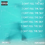 I Can't Feel the Sky (Explicit)