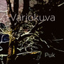 Varjokuva