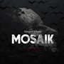 Mosaik (Explicit)