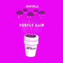 Purple Rain (Explicit)