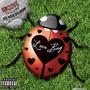 LUV BUG (Explicit)