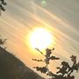 ~seasons filtered~