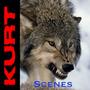 Kurt : A Wolf’s 12 Stages of Grief (Explicit)