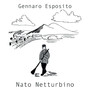 Nato netturbino