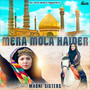 Mera Mola Haider